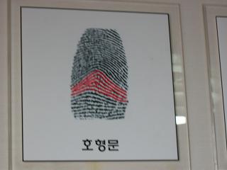 호형문은 안정적, 보수적 성향이라고 한다. 